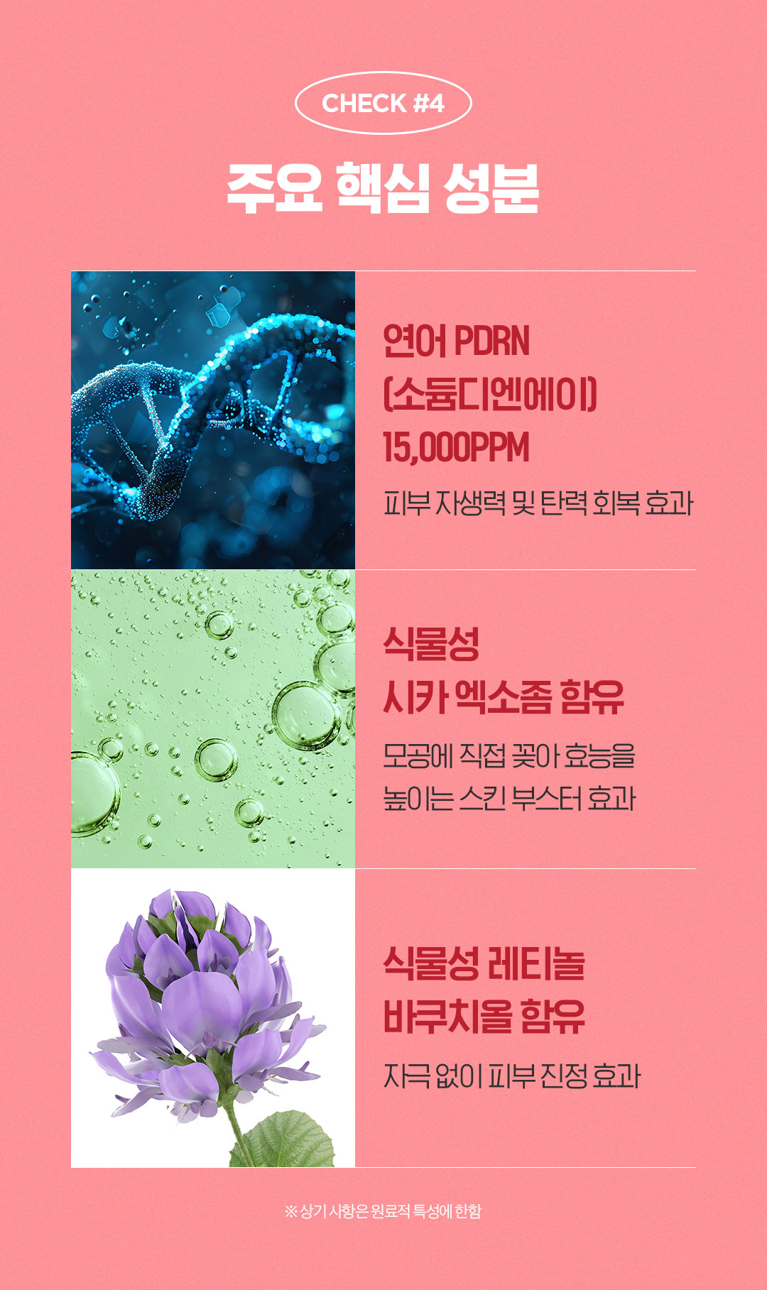250422_pdrncream_topbn_04.jpg