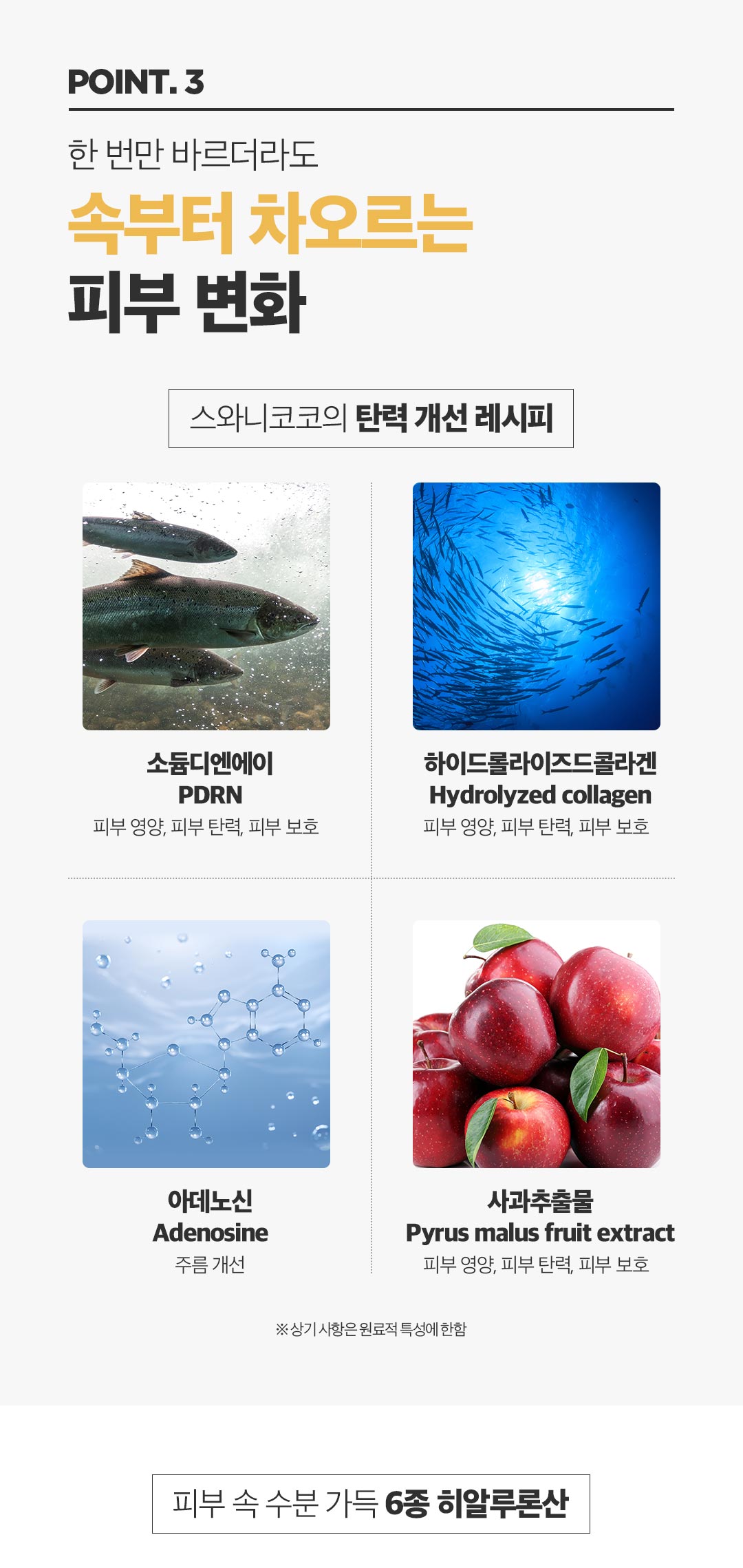 cont-14.jpg