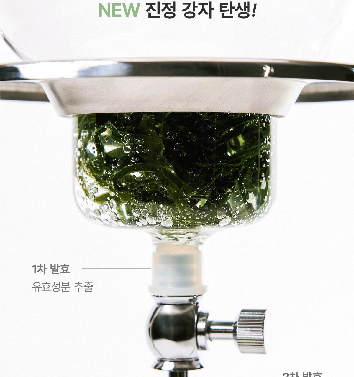 sea_kelp_mask_03.jpg?created=202503151727