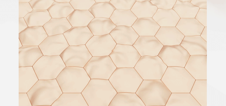 4d05ba0f9deeafb30d5e6ea79992fa8dac7a4e53ecfa3d59372878802393.png