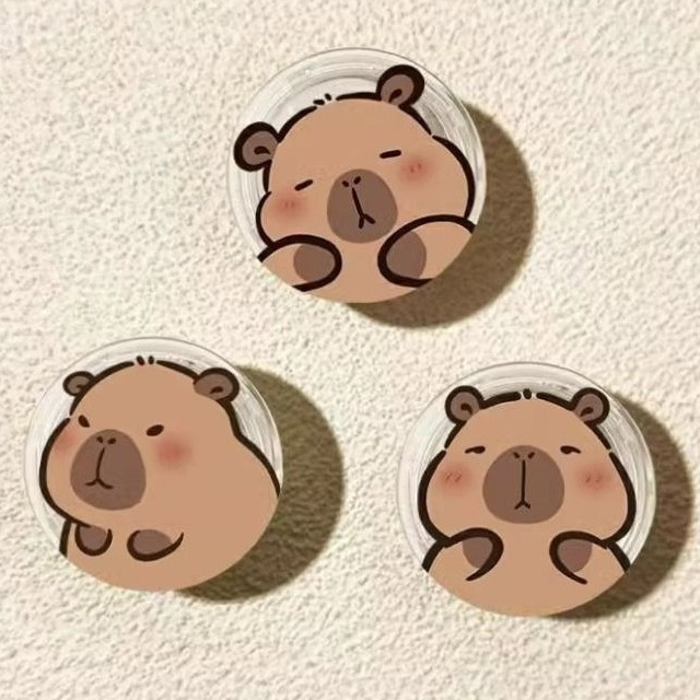 귀엽고 다양한 스타일의 카피발라 그립톡